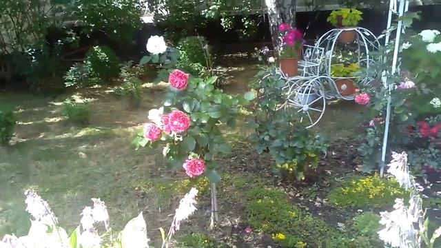 Образцовый двор на ул. Куликовская, дом № 7. смотреть онлайн