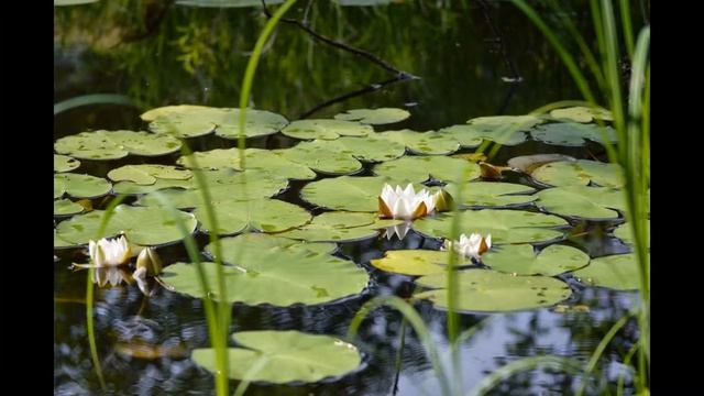 2013 06 06 - 07 08 фотки Люды на даче (день) смотреть онлайн