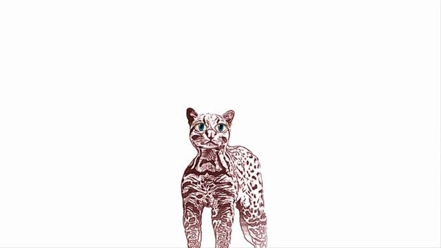 The Animal Sounds / Learn Ocelot Sounds / Sound Effect / Animation смотреть онлайн