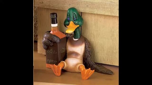 Я гусь, мама утка смотри прикол смотреть онлайн