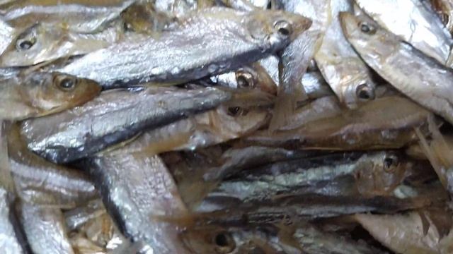 Тюлька вяленая смотреть онлайн