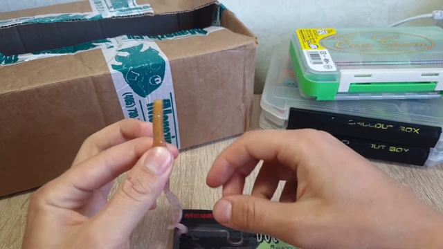Видеообзор силиконовой приманки Megabass Dot Worm по заказу с Fmagazin смотреть онлайн