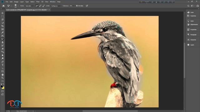 Adobe Photoshop Tutorial Level 17 Color Replacement Tool смотреть онлайн
