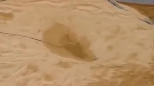 Венера уникальные особенности планеты смотреть онлайн