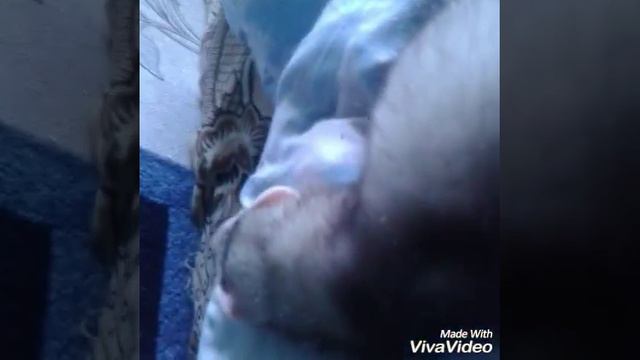 Сёма в детстве, Сёма Хорь