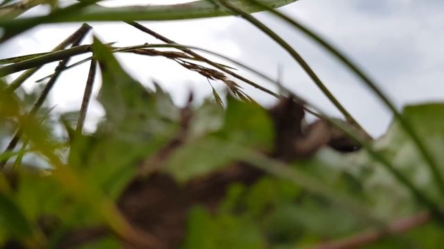Утопили Питбайк смотреть онлайн