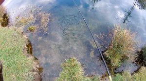 Ловля ротана на спиннинг ВЭКИ