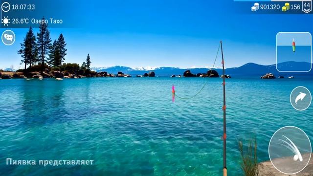 НАЛИМ ловим на разных локациях  #MyFishingworld