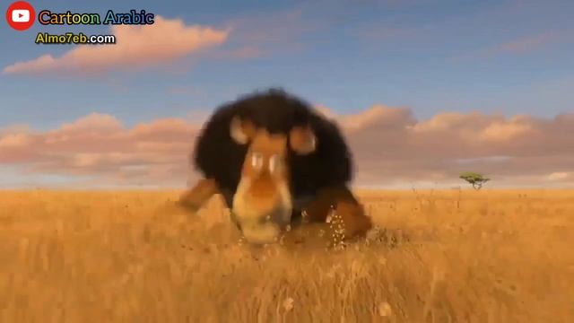 Madagascar in Arabic. Baby Alex Goes to New York Scene. مدغشقر بالفصحى الطفل أليكس يذهب إلى نيويورك смотреть онлайн