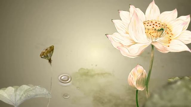 Chinese ink painting lotus flowers photography&video background video material for video producer смотреть онлайн
