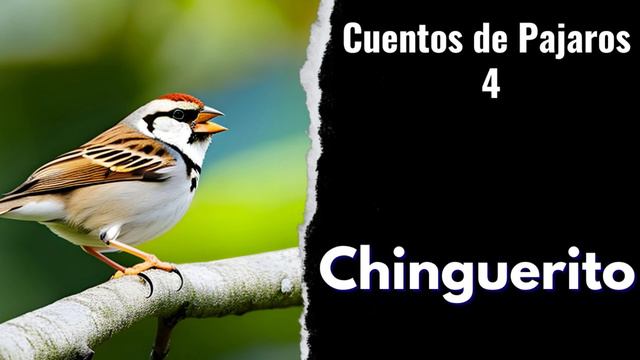 Cuentos de Pajaros 4 | Chinguerito | Cuentos Populares | Antonio Paredes Candia | Bolivia смотреть онлайн