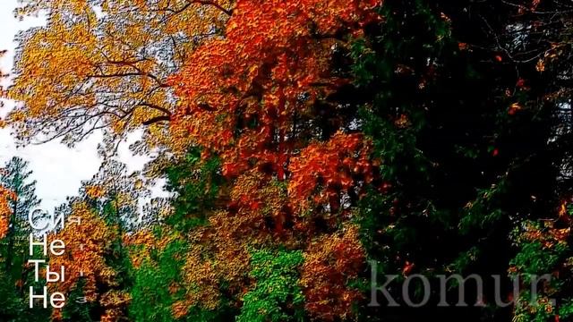 ОСЕНЬ ЗОЛОТАЯ #счастливой и прекрасной осени# komur смотреть онлайн