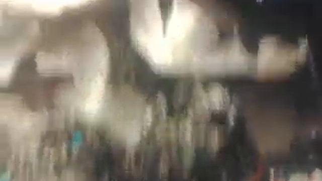 Аквариумные рыбки (акулы,пираньи) смотреть онлайн