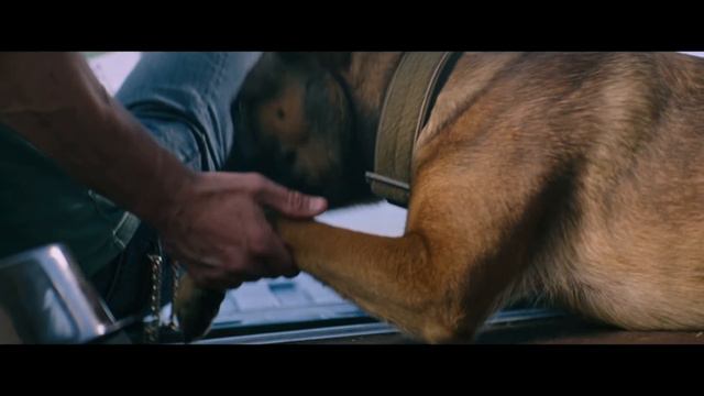 Лулу И Бриггс смотреть онлайн