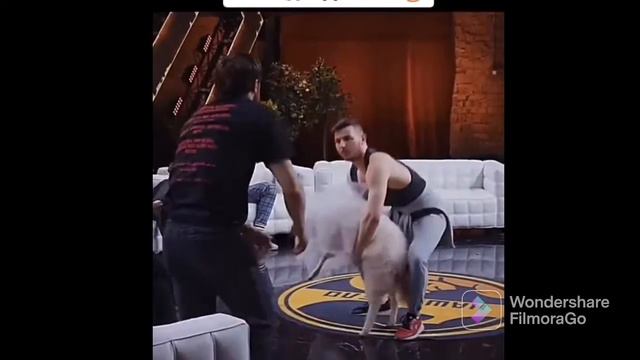 Мураду Легенда Подарили овцу смотреть онлайн