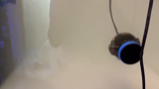 Запуск морского аквариума (фраговика) на соли Марисоль Риф. Сколько соли надо на литр воды. смотреть онлайн