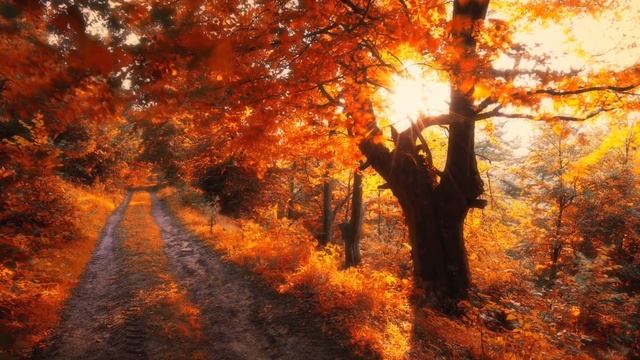 Мистическая осень. Из осеннего цикла стихов Павла Шмелева. смотреть онлайн