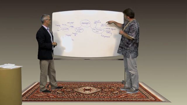 Graeme Blank and Rafe Foreman present some ideas on Case Analysis and Mind Mapping смотреть онлайн