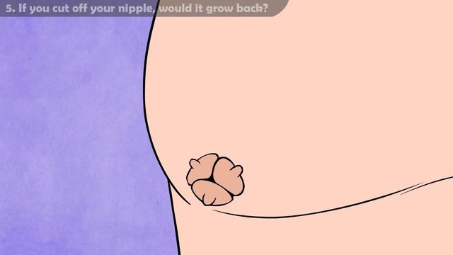 Why Do Blind People Wear Sunglasses? | SPD Q&A #070 смотреть онлайн