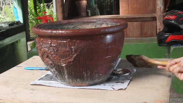 HOW TO PLANT LOTUS & CALLA LILY #lily #plants смотреть онлайн