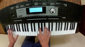 Музыка из фильма Терминатор на синтезаторе MEDELI M331.