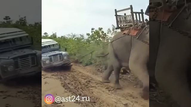 Внедорожник смотреть онлайн