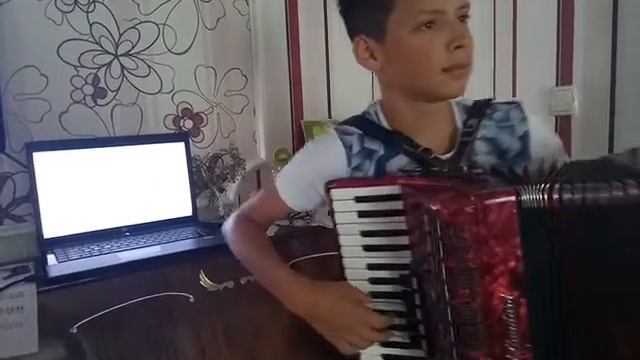 Дзидзьо-Птахоподибна (ACCORDEON COVER) смотреть онлайн