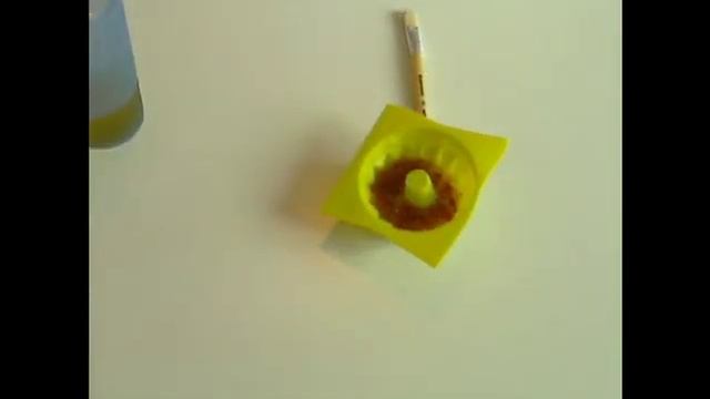 Мыло Цитрусовый Десерт,citrus soap смотреть онлайн