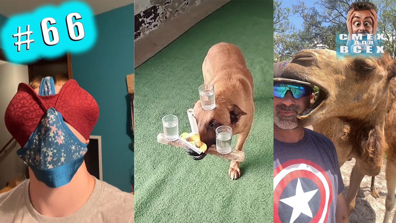 ПРИКОЛЫ 2023 СМЕШНЫЕ ВИДЕО ЧУДИКИ ИЗ ТИК ТОК СМЕХ ДЛЯ ВСЕХ №66 смотреть онлайн