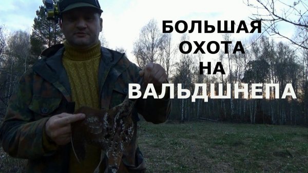 Большая охота на вальдшнепа !!!