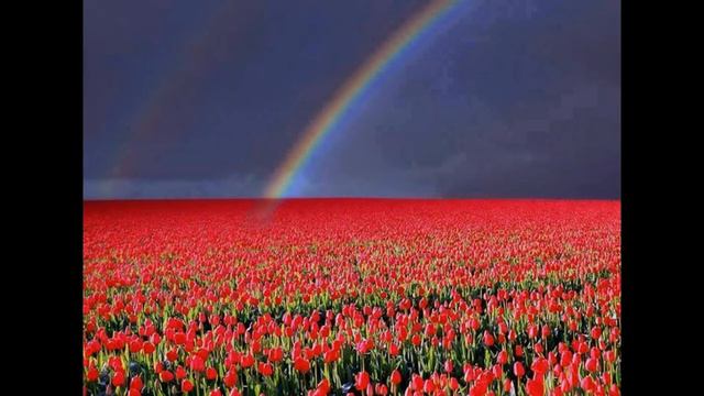 Pavlo Dvorskyy/Павло Дворський."Тебе кохаю" смотреть онлайн