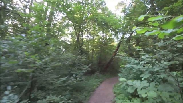 Бесплатный пляж, платный пляж и яхт-клубы на севере Москвы смотреть онлайн