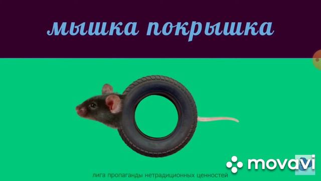 мышка сосиска и многое другое