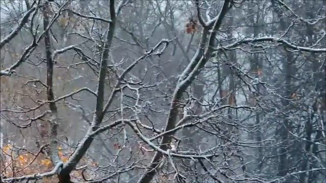 Elen Cora - Выпал снег