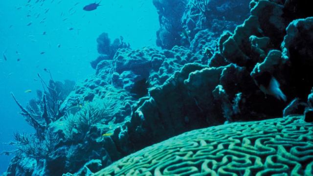 11 Shocking Effects of Climate Change смотреть онлайн