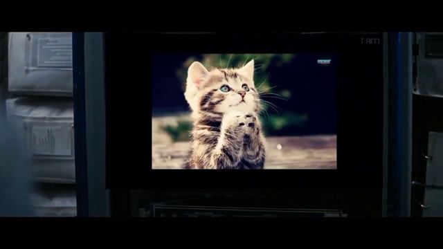 Когда решил посмотреть старые видео винди в 2022 году смотреть онлайн