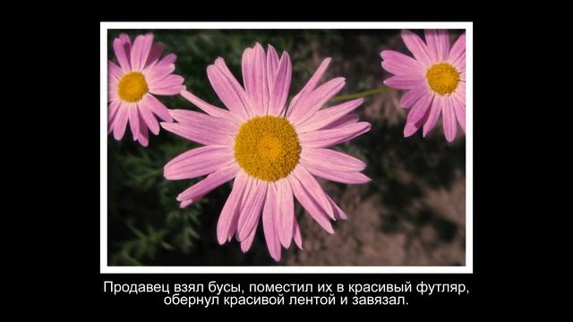 ≧❀‿❀≦ Притча о Подарке для сестры.Вызывает слезы и восторг смотреть онлайн