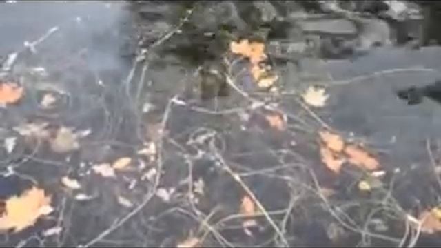 Баллада о заблудшем сыне. Стихи Галины Огородовой смотреть онлайн