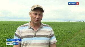 На Орловщине завершается посевная