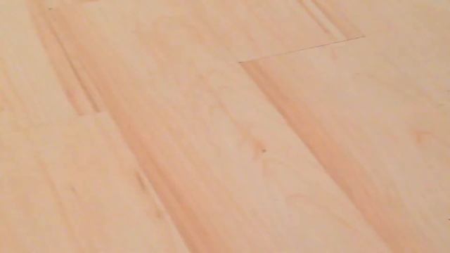 Померанский шпиц играет в мяч! смотреть онлайн