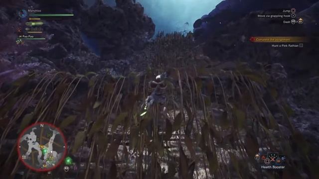 Monster Hunter: World / Pink Rathian vs. Insect Glaive смотреть онлайн