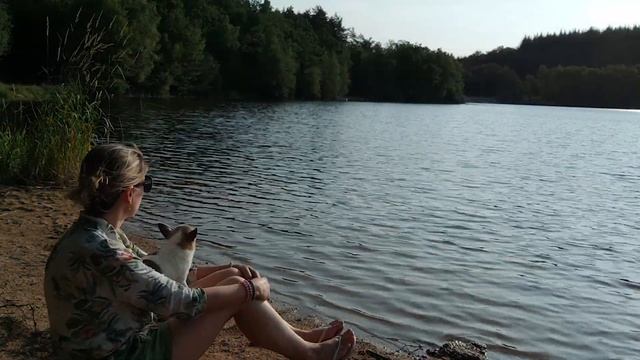 SOLO CAMPING : MINI VAN 3 hour conversion CHALLENGE смотреть онлайн