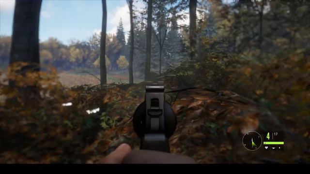The Hunter : Call of the Wild - Wrapping up the Book QUEST смотреть онлайн