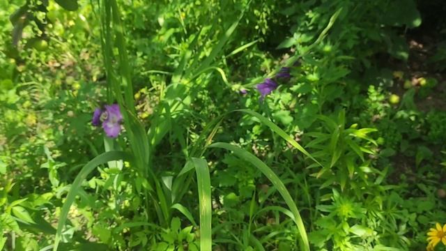 Влог: Непонятная Шурпа.Обновочка с примеркой))