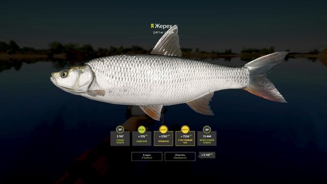 Русская Рыбалка 4 — Жерех на реке Ахтуба смотреть онлайн