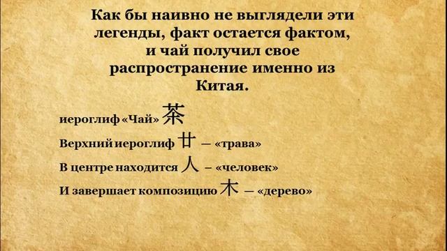 Чайная Школа. История чая. Часть 1 смотреть онлайн