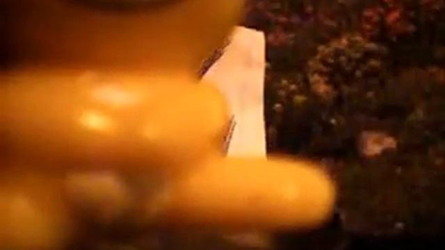 The Happy Bunny Show!! смотреть онлайн