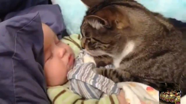 очень милый кот, наблюдает за сном малыша, жесткие приколы смотреть онлайн