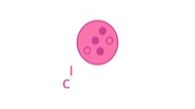 Dry rot (Serpula lacrymans) | Classification | Scientific Short Profile | Shroomers смотреть онлайн