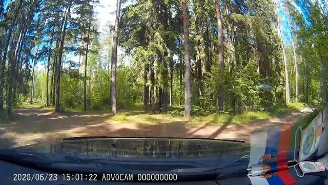 Путешествия и поездки по Смоленским улицам. Поездка в лес Телеши. смотреть онлайн